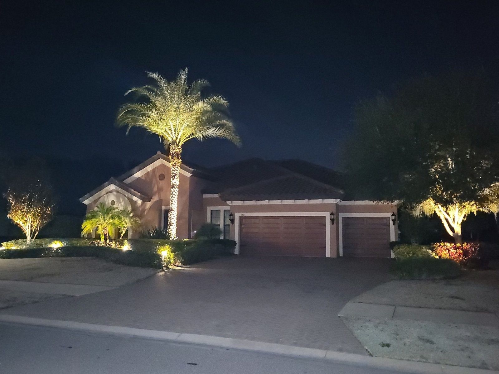 Single-story home with warm-white landscape lighting on palm trees and shrubs at night