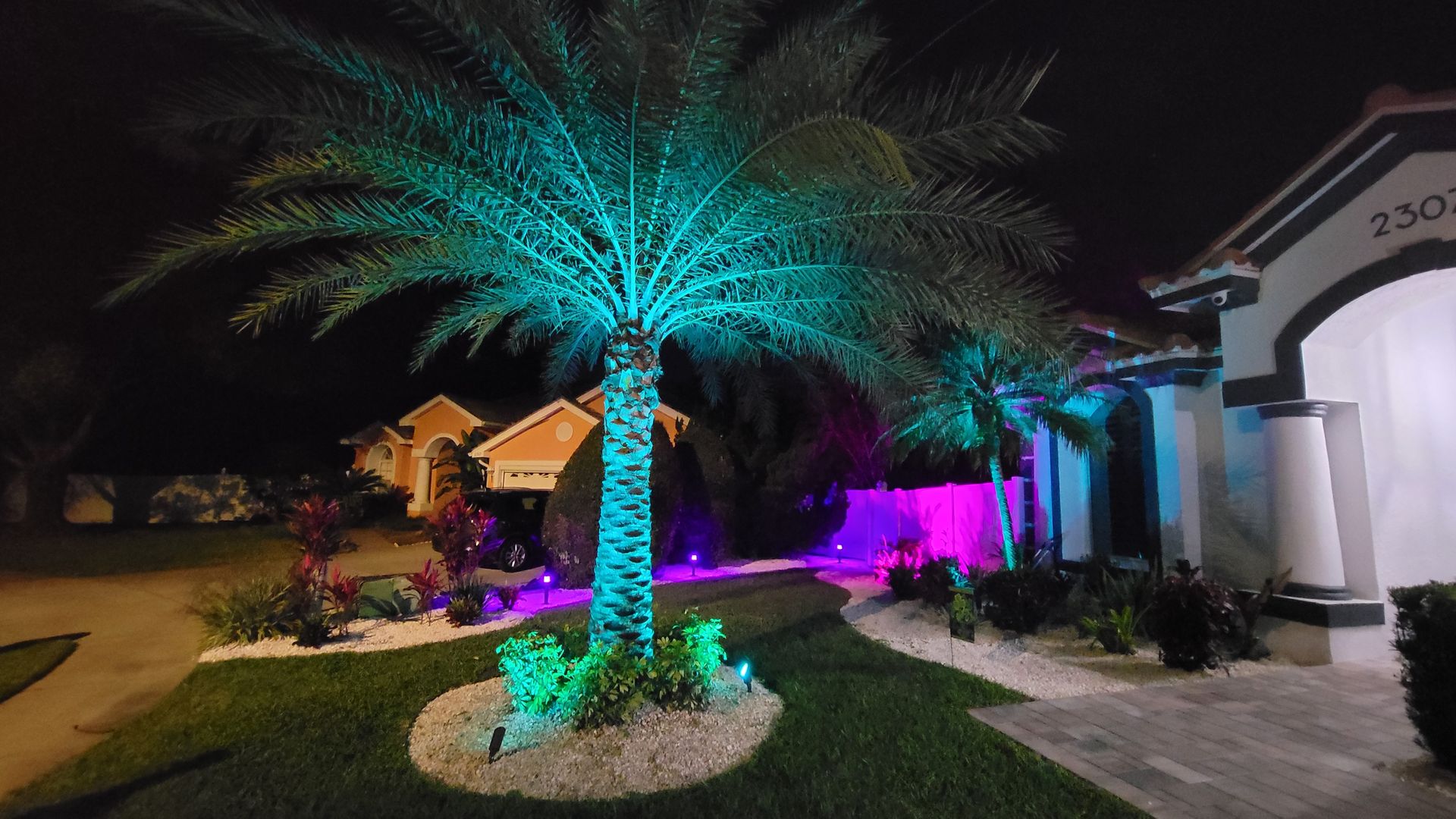 Color-changing LED landscape lighting on palm trees at night