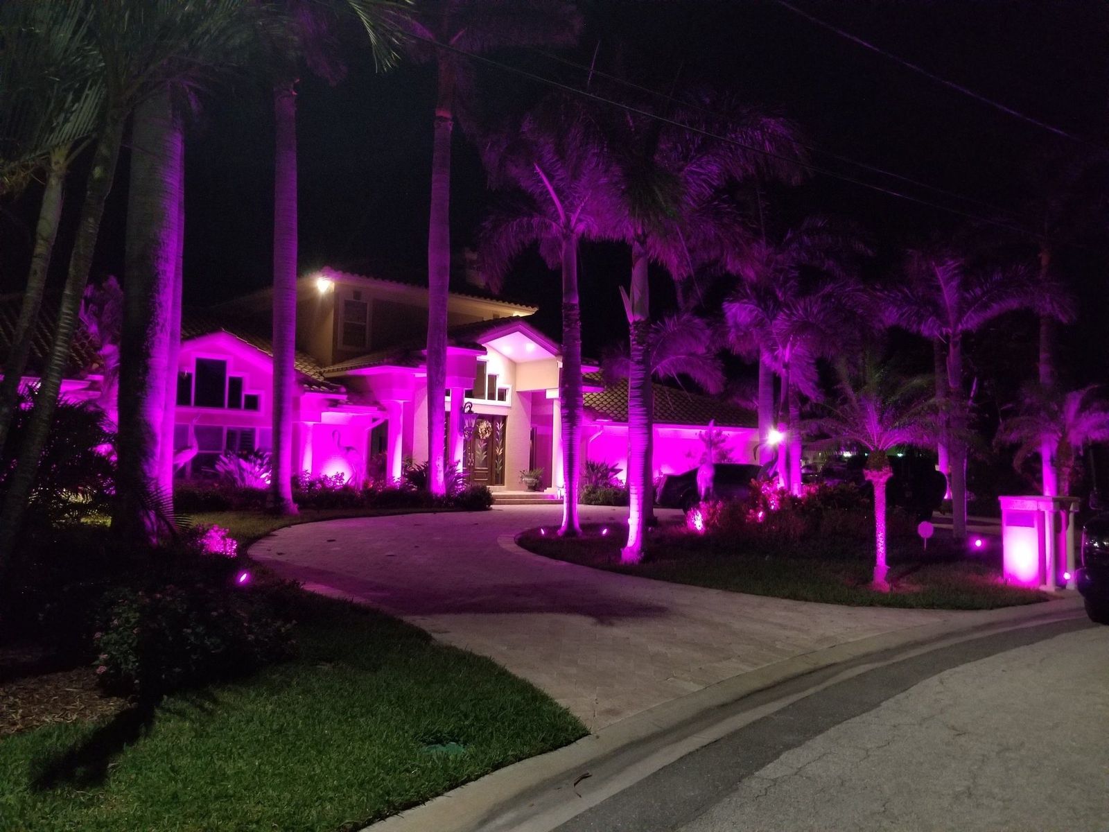 Make your home fun & unique with color changing landscape lighting.