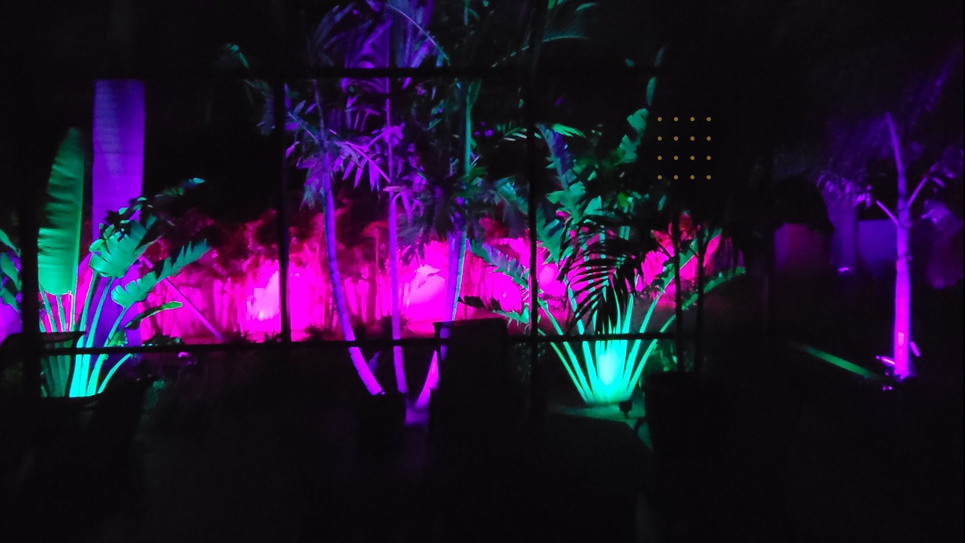 Palm Harbor Client Upgrades to Color Changing Landscape Lighting