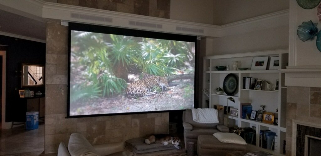 Wish you had the space for a real home theater? Maybe you do!